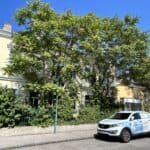 Mannlicher Immobilien Entwicklung - Projekt Templergasse, 2340 Mödling